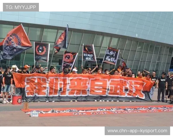 球迷文化建设是否纳入联赛规划，球迷协会属于什么社会群体